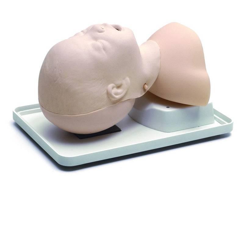 Laerdal Infant Airway Trainer