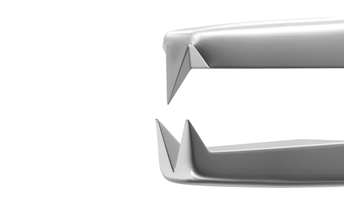 Adson Forceps with 1 x 2 Teeth