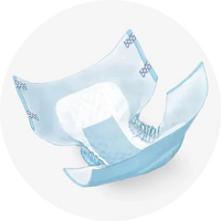 Adult Briefs & Diapers