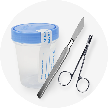 Surgical & Healthcare Supplies