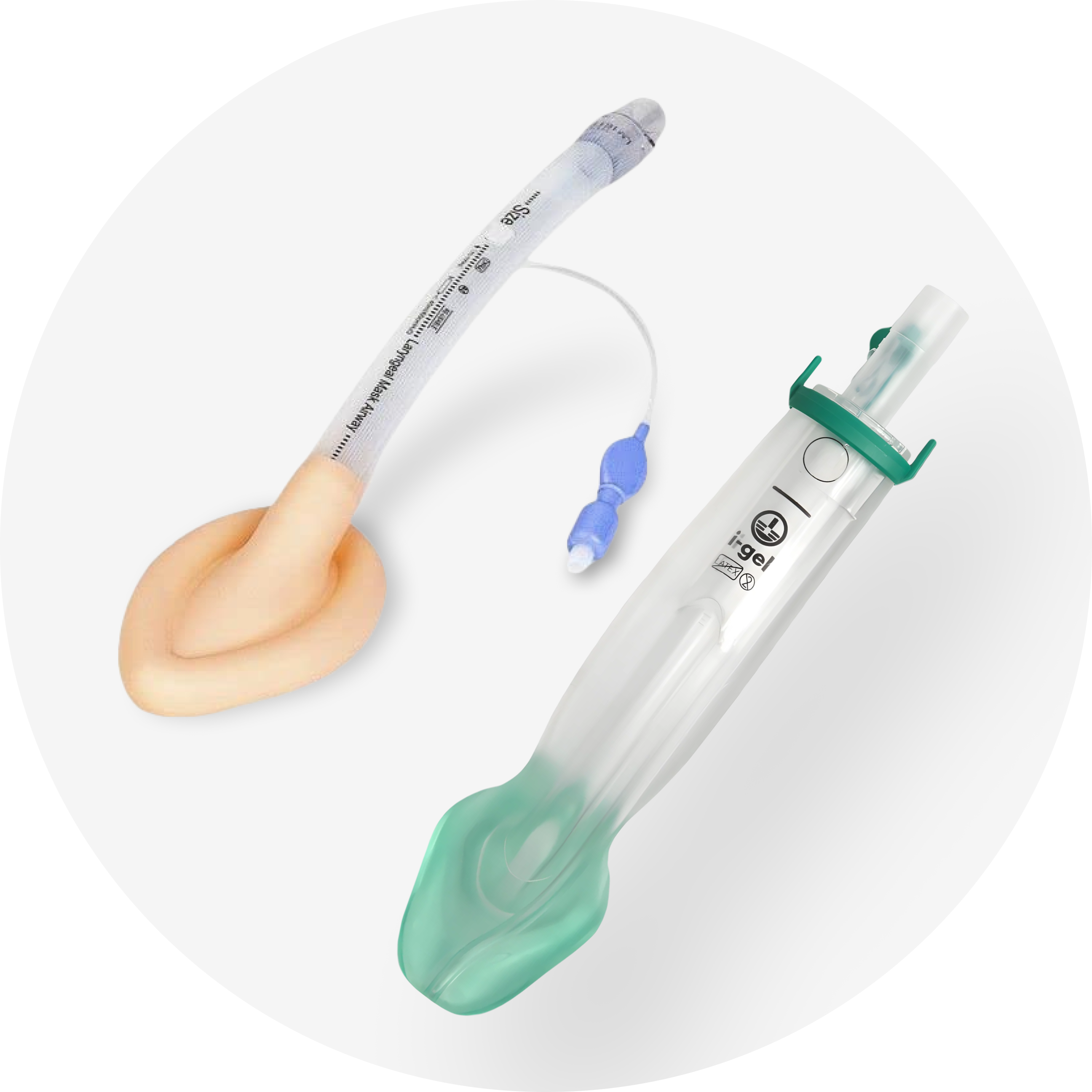 Supraglottic & Laryngeal Airways