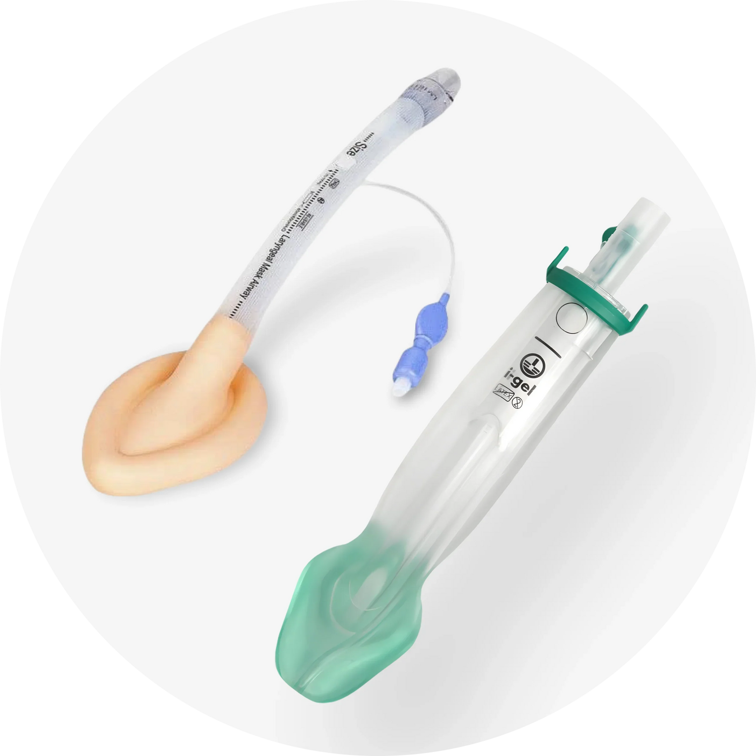 Supraglottic & Laryngeal Airways