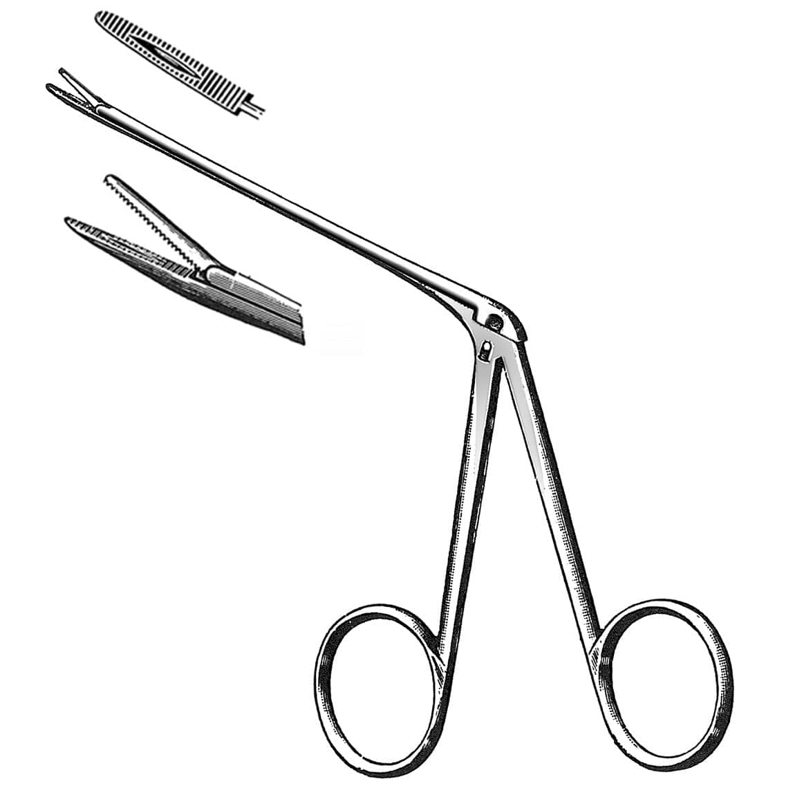 Hartman Alligator Forceps