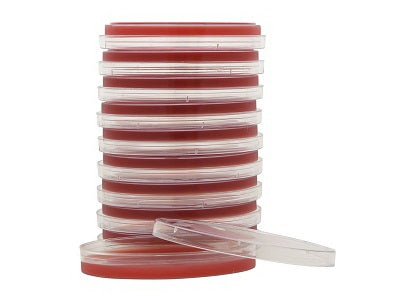 Selective Strep Agar