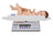 Digital Baby Scale with LCD