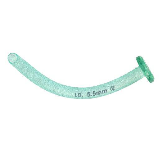 Airway Nasopharyngeal