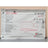 ThermoGard Dual Dispersive Electrodes