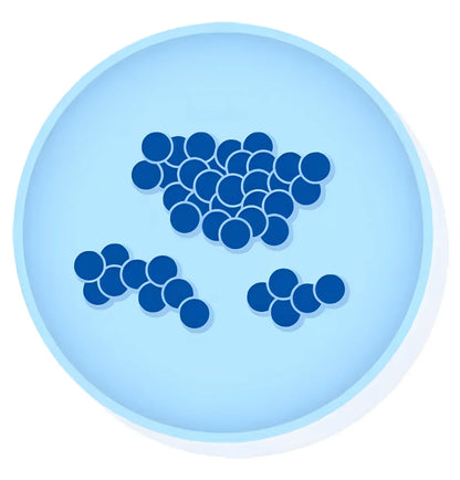 Streptococcus agalactiae Lyophilized Pellets