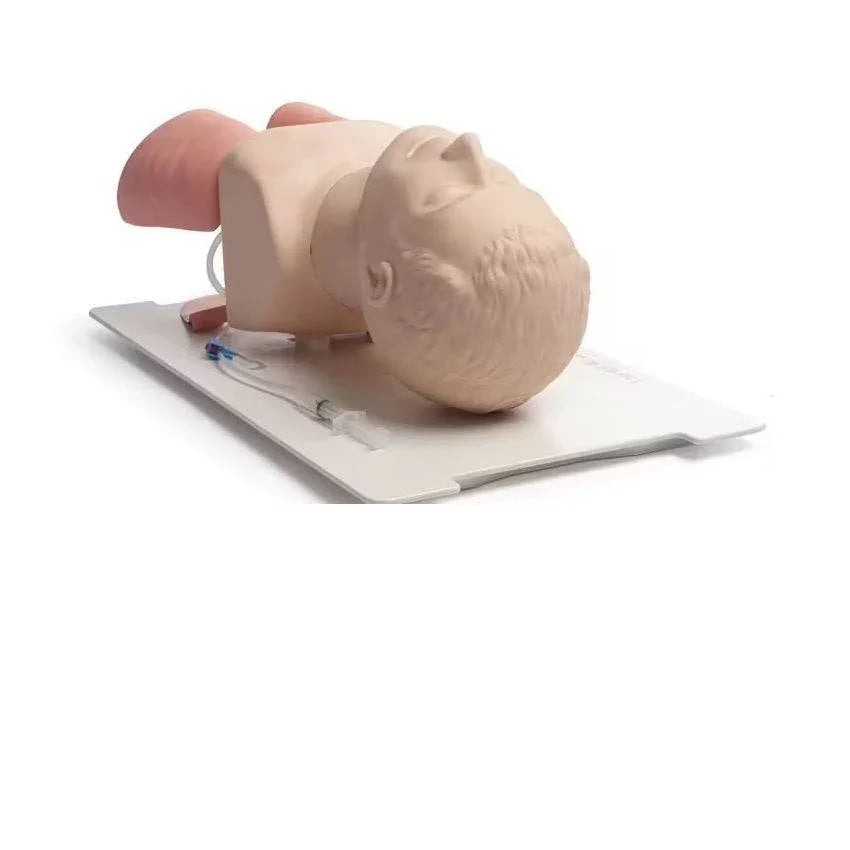 Laerdal Infant Airway Trainer