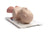 Laerdal Infant Airway Trainer