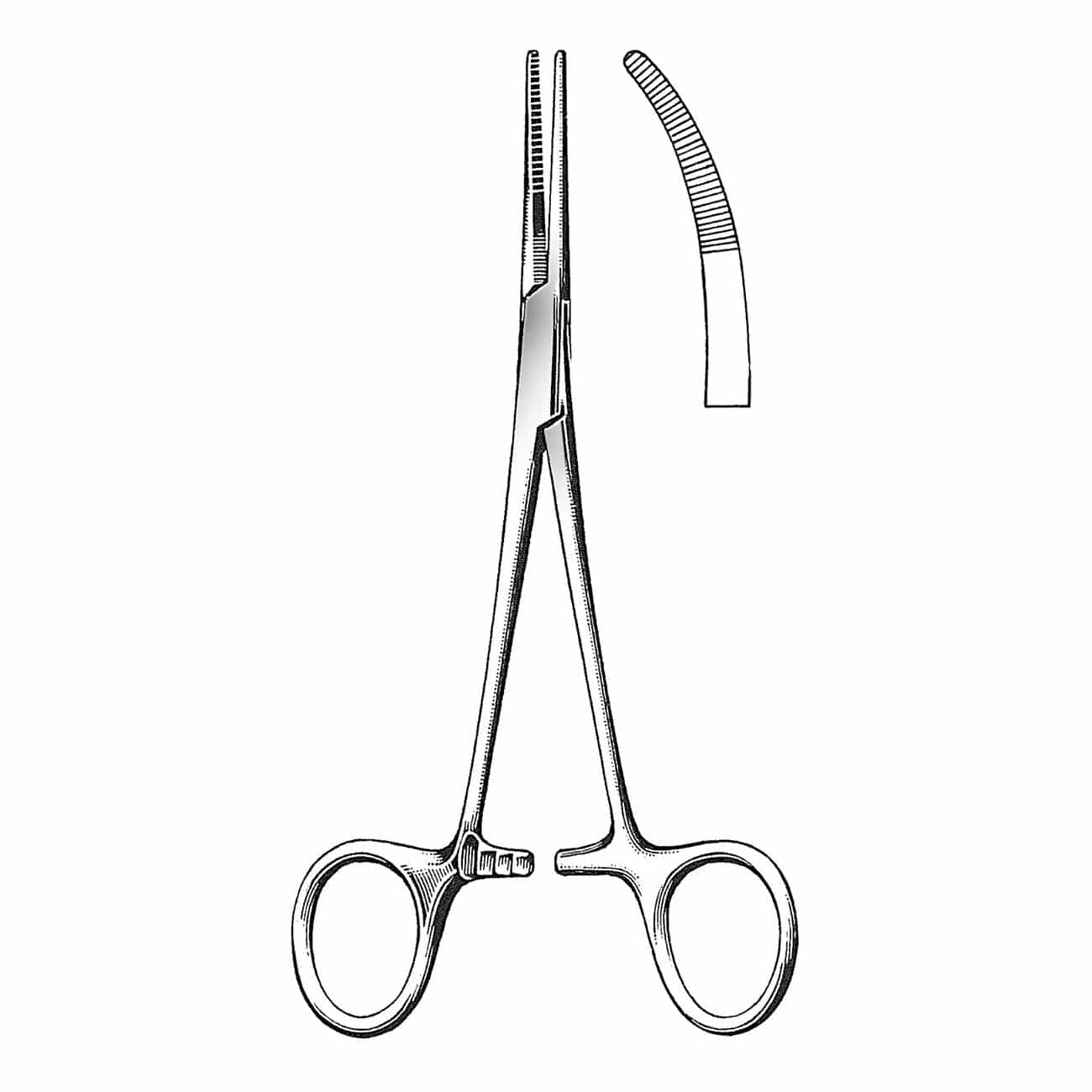 Stainless Steel Clamp with Kelly Curves