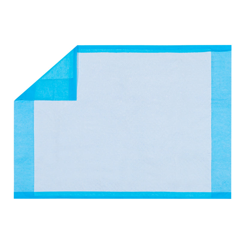 Economy 2-Ply Tissue Underpad