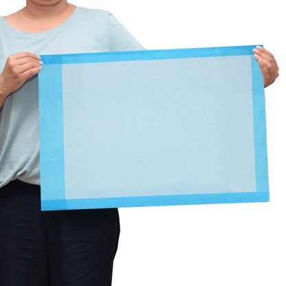 Economy 2-Ply Tissue Underpad