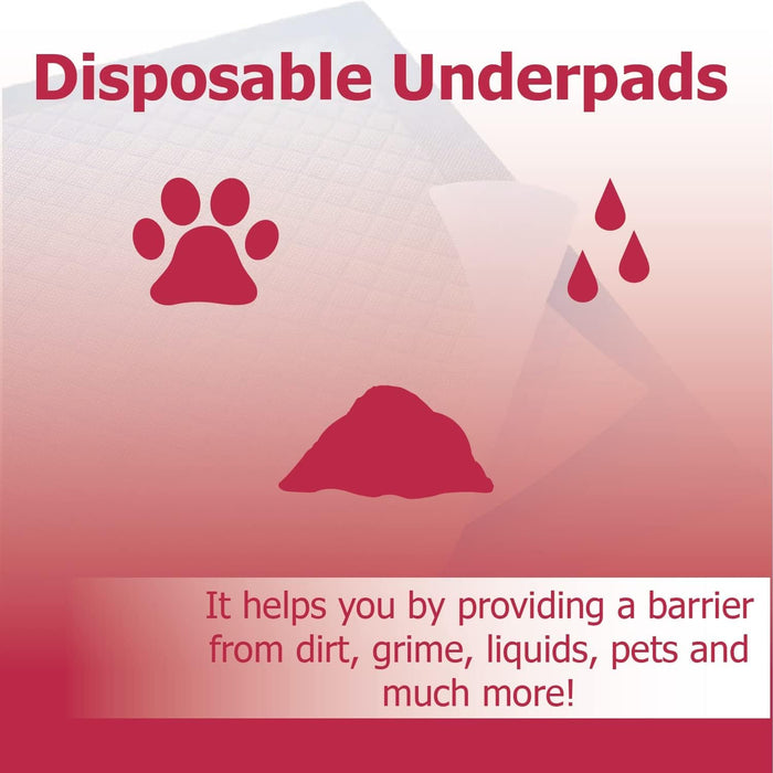 Underpad Moderate Absorbency