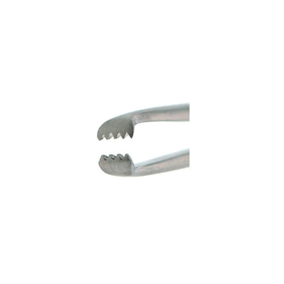 ALLIS Tissue Forcep