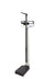 Mechanical Beam Scale with Height Rod