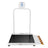Digital Wheelchair Scale with Single Ramp