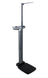 Waist High Digital Platform Scale with Height Rod