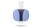 EasyOne Sky Spirometer